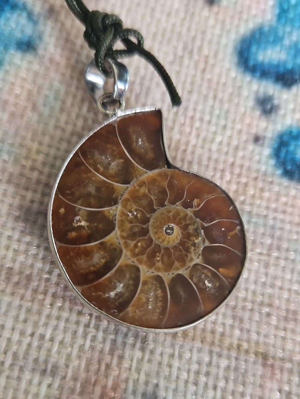 Ammonite Fossil Pendant Necklace